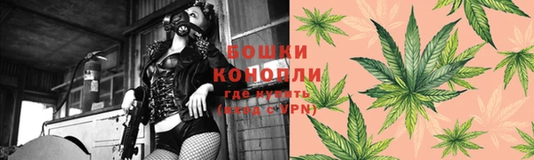 мдпв Новодвинск
