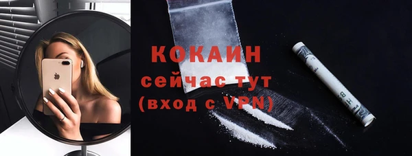 мдпв Новодвинск