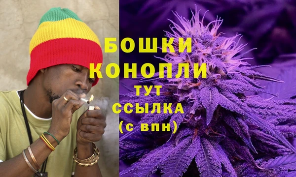 таблы Новозыбков